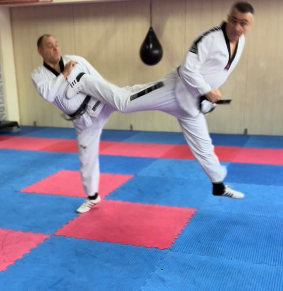 Taekwondo Sparring Action